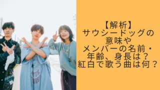サウシードッグのアイキャッチ画像