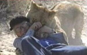 ムツゴロウさん(畑正憲)ライオンに噛まれる画像
