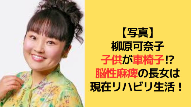 柳原可奈子の子供に関してのアイキャッチ画像