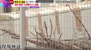 神戸6歳男児遺棄・祖母監禁事件のニュース画像