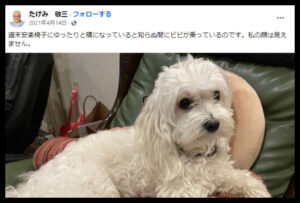 武見敬三さんの愛犬についての投稿画像