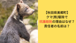 クマ(熊)の駆除に関して抗議が殺到している事件のアイキャッチ画像